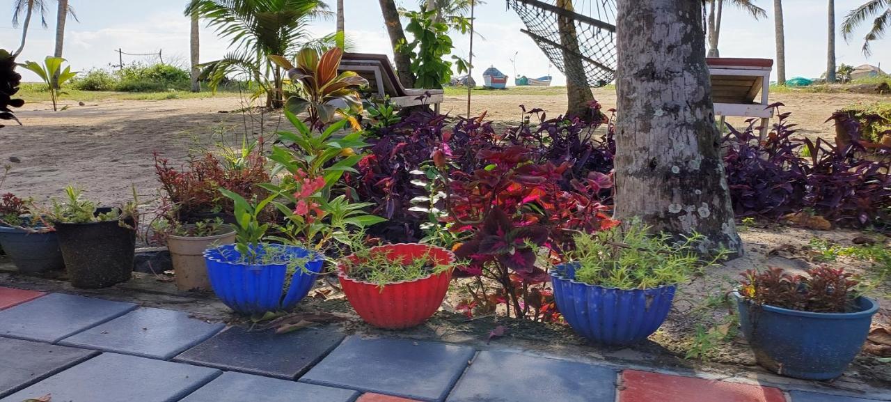 Marari Anna Beach Villa Mararikulam Exteriér fotografie