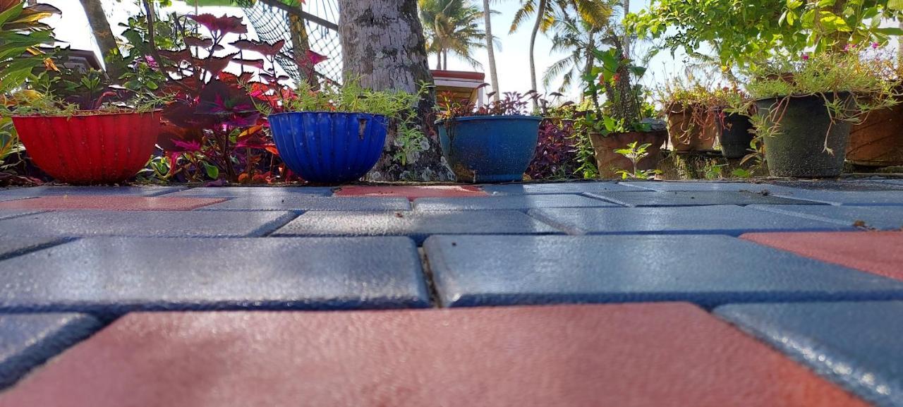 Marari Anna Beach Villa Mararikulam Exteriér fotografie